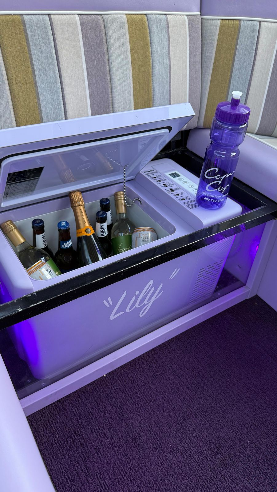 Lily's stocked fridge
